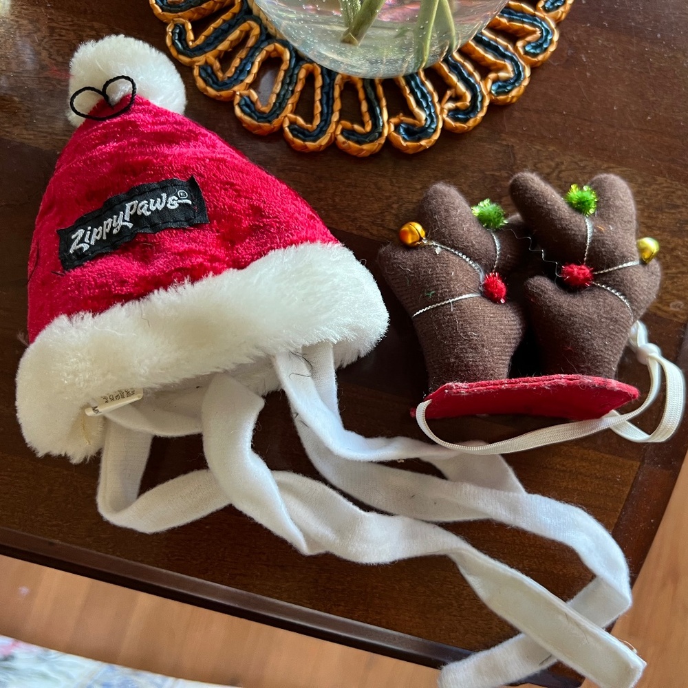 Cat/small dog Santa /reindeer hat
